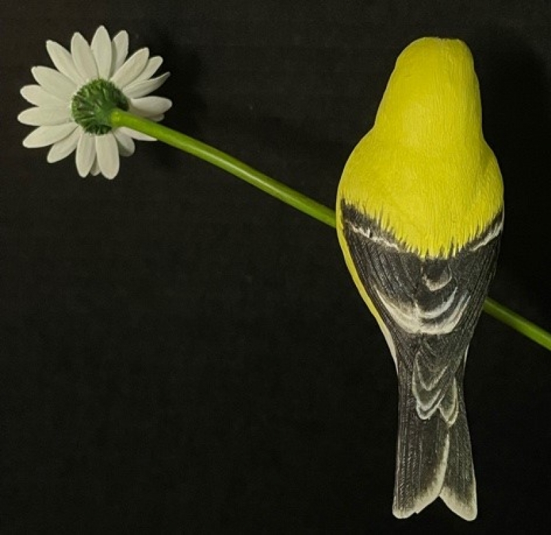 Carved goldfinch on a daisy, back view