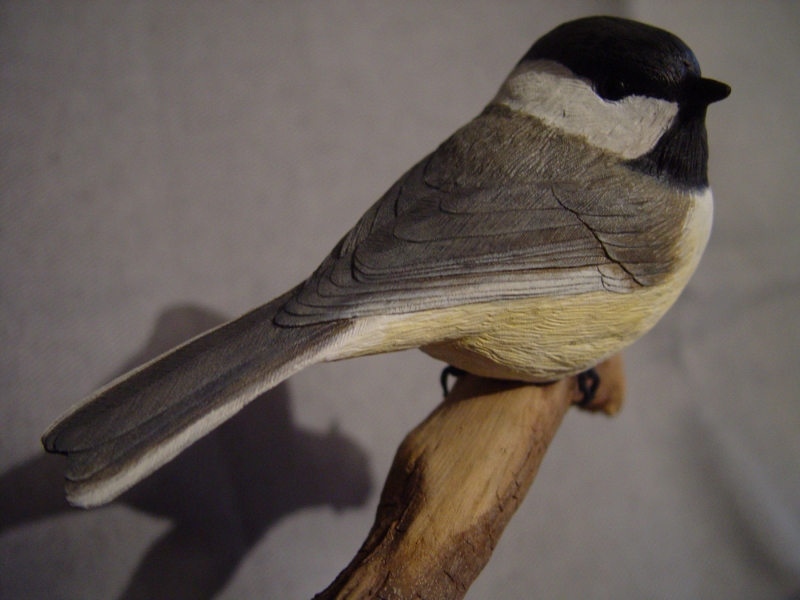Carved chickadee, painted