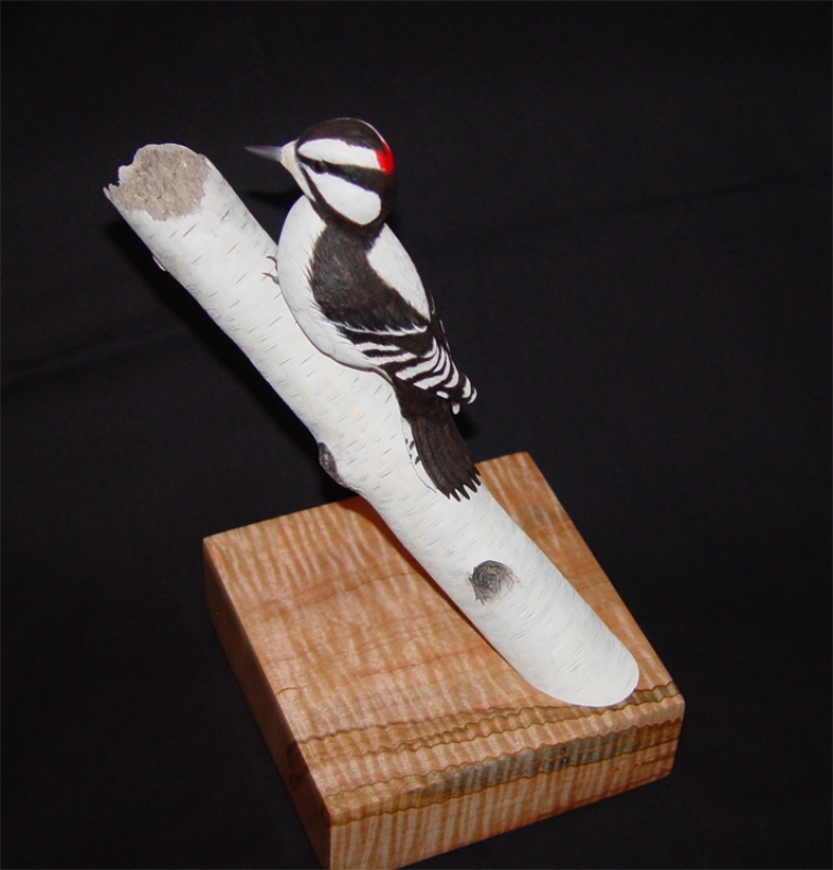 Carved downy woodpecker on a birch branch