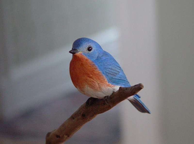 Close-up of a carved eastern bluebird