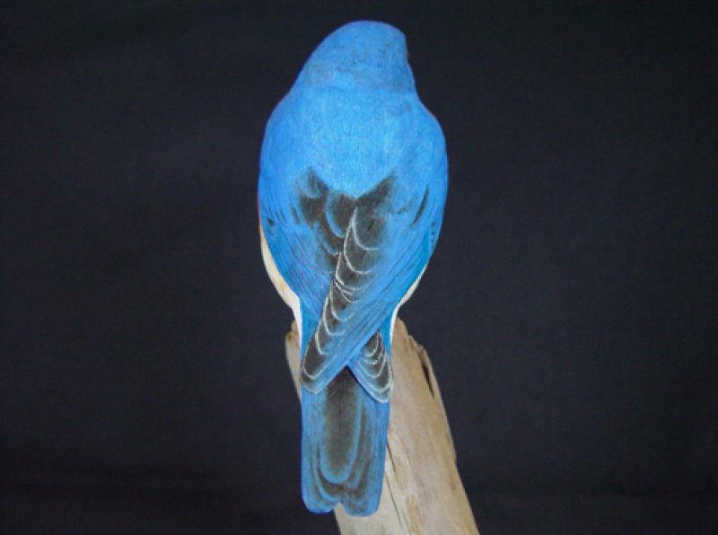 Carved eastern bluebird, back view