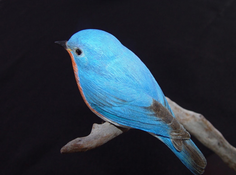 Carved eastern bluebird, second close-up