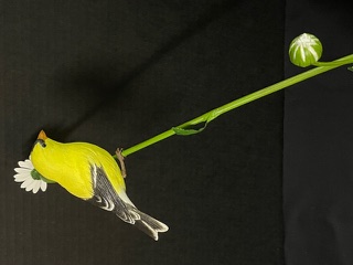 Goldfinch on Daisy work in progress, photo 14
