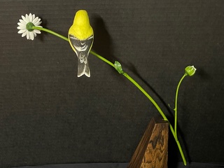 Goldfinch on Daisy work in progress, photo 12