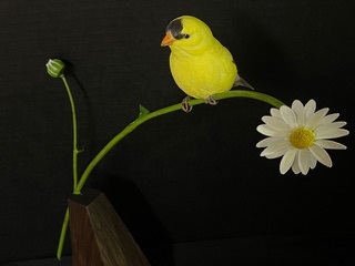 Goldfinch on Daisy work in progress, photo 6