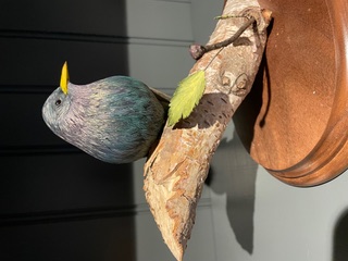 Starling work in progress, photo 8