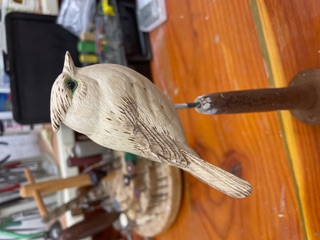 Miniature Bluejay work in progress, photo 1