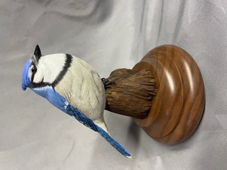 Miniature Bluejay work in progress, photo 4