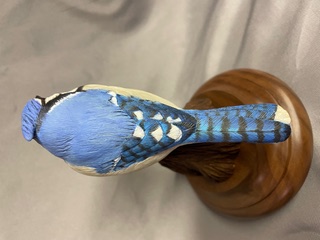 Miniature Bluejay work in progress, photo 8