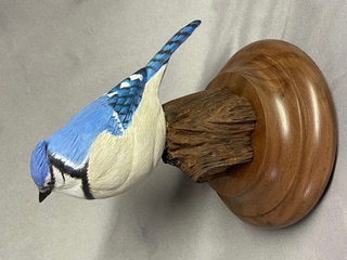 Miniature Bluejay work in progress, photo 7