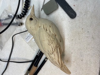 Meadowlark work in progress, photo 5
