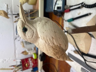 Meadowlark work in progress, photo 10