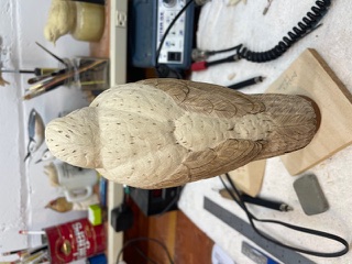 Meadowlark work in progress, photo 2