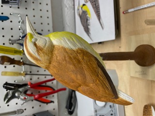 Meadowlark work in progress, photo 13