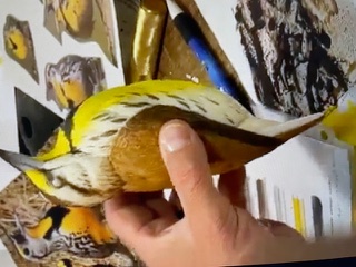 Meadowlark work in progress, photo 9