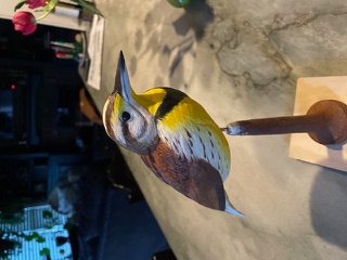Meadowlark work in progress, photo 16