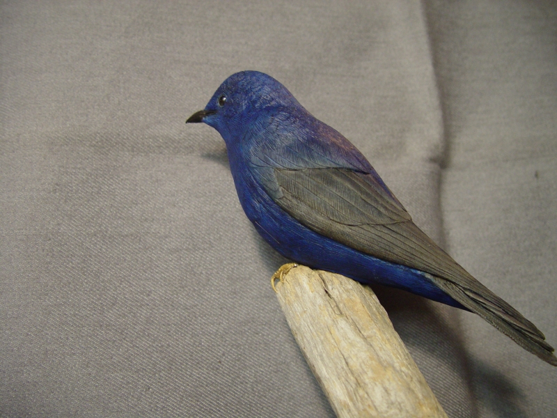 Carved purple martin at rest
