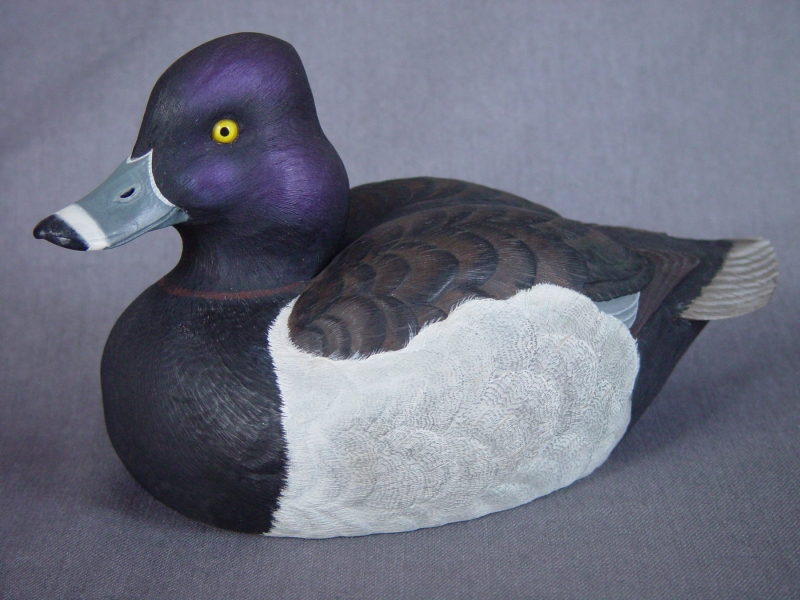 Carved ring-necked duck, broadside view