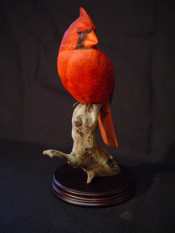 Carved cardinal, sitting