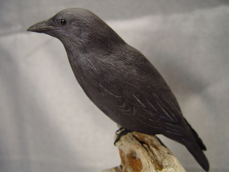 Carved crow